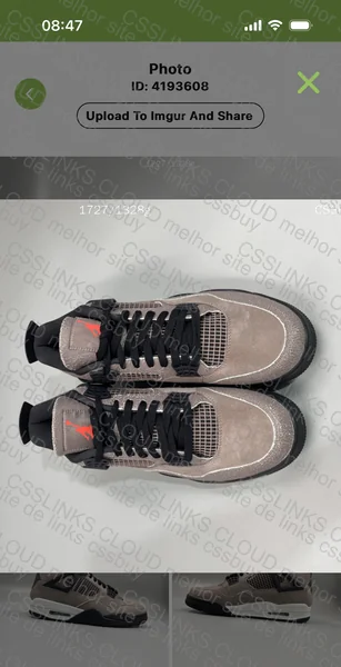 Jordan 4 Taupe Haze 6