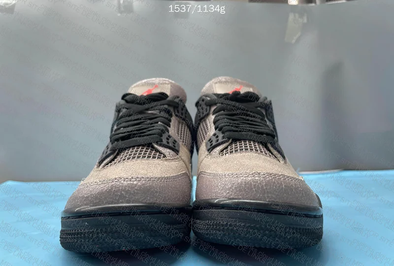 Jordan 4 Taupe Haze (Bought a While Ago) 2