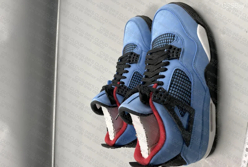 Jordan 4 TS 2