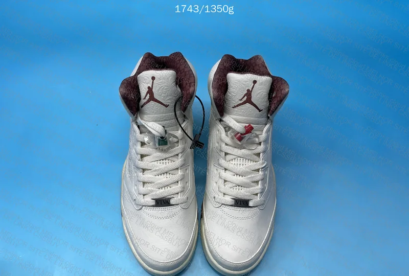 Jordan 5 “ El Grito “
