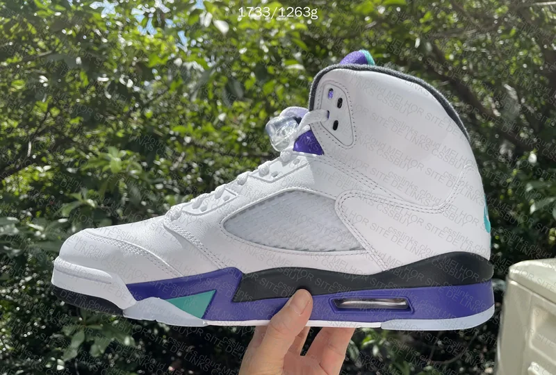 Jordan 5 Grape 10