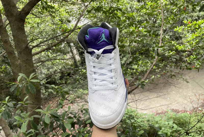Jordan 5 Grape