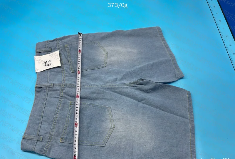 Blue Jorts Help RPZ 4