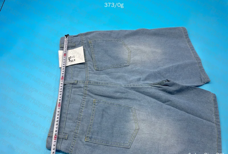 Blue Jorts Help RPZ 5