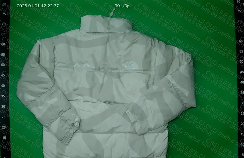 KAWS x The North Face Retro 1996 Nuptse Jacket