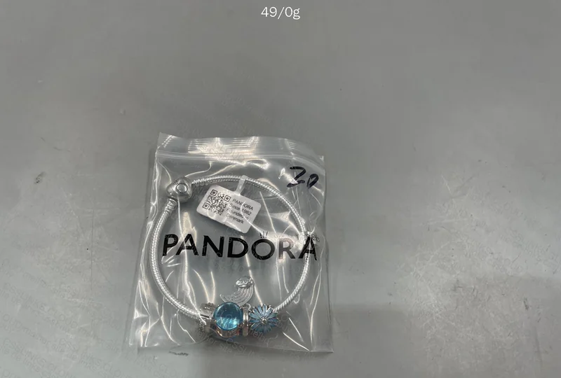 Pandora Bracelet Kit + Charms + Packaging