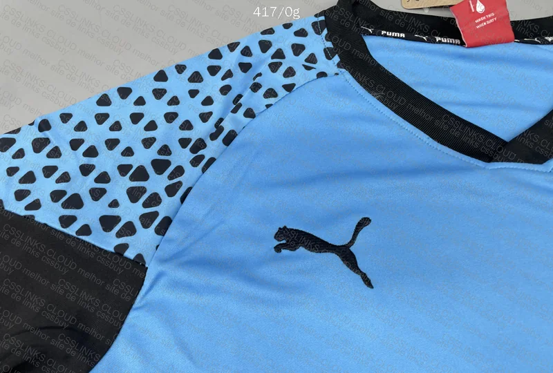 Puma Training Kit 5