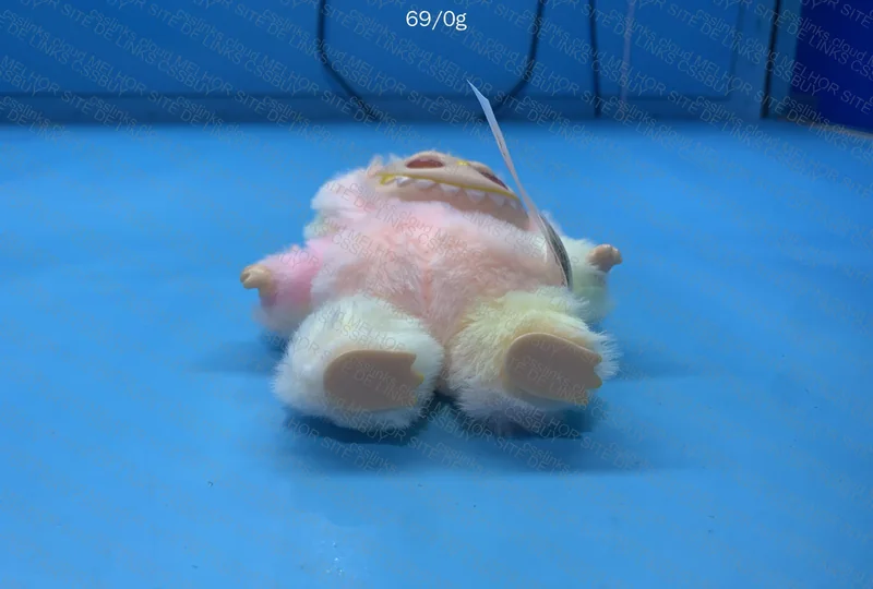 Labubu for Sister from Dog 5