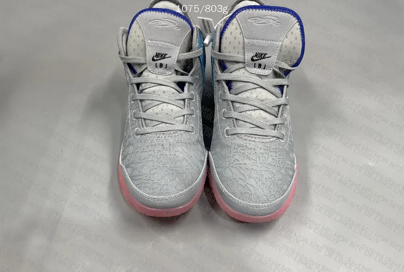Lebron NXXT Gen Pink