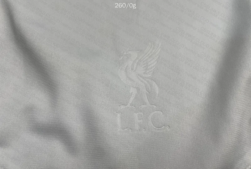 liverpool away 06/07 5