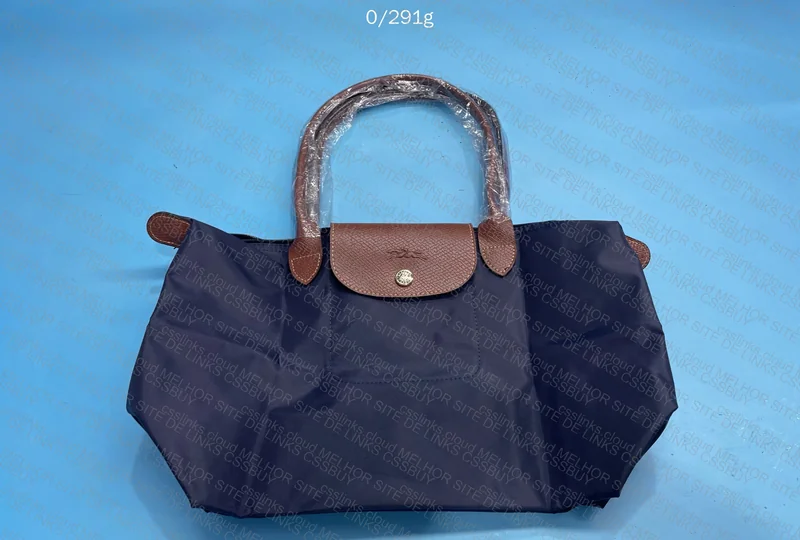 Blue Longchamp 2