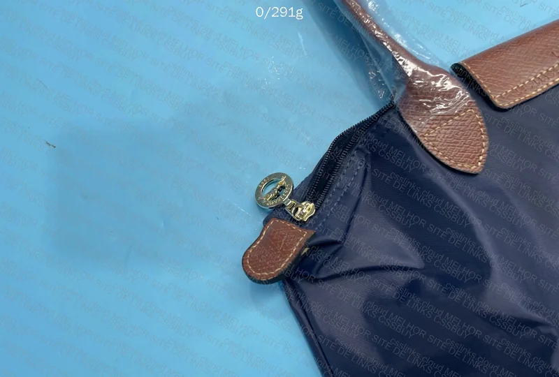 Blue Longchamp 3