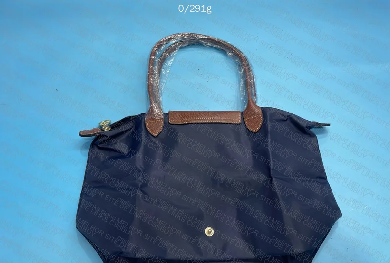 Blue Longchamp 4