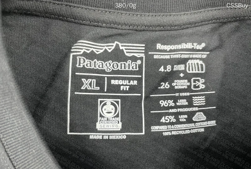 Longsleeve Patagonia (Home Trout) 5