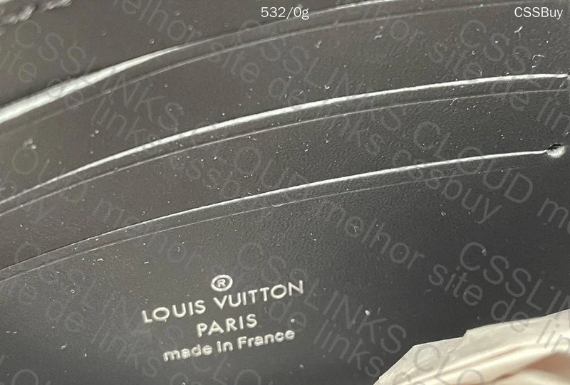 Louis Vuitton bag (LV) 5