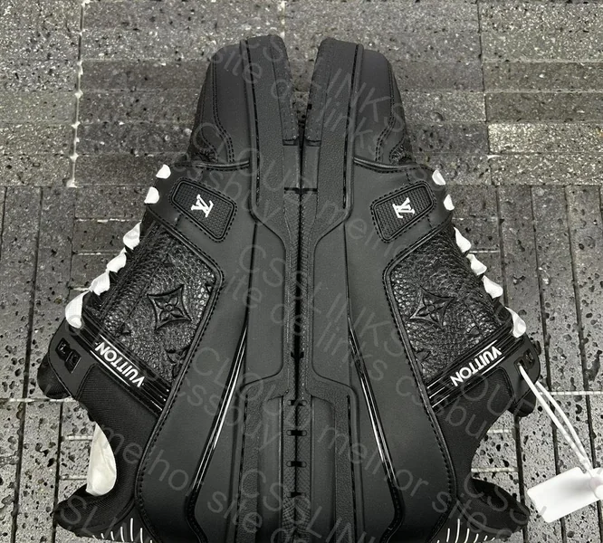 Louis vuitton (LV trainer) 10
