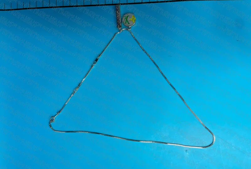 Louis Vuitton Necklace + Champion Shirts Blind Box 2