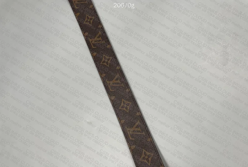 Luis Vuitton Belt 4