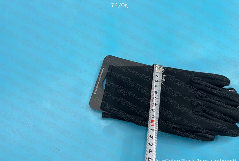 Arc'teryx Glove