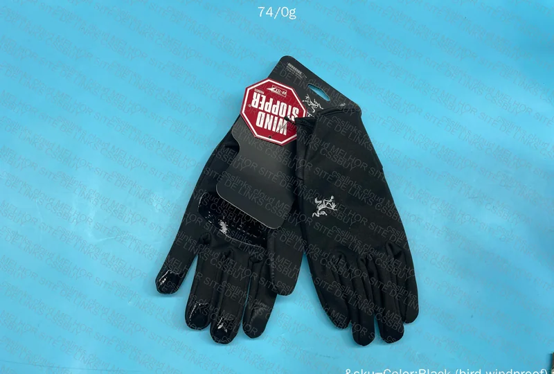 Arc'teryx Glove 2