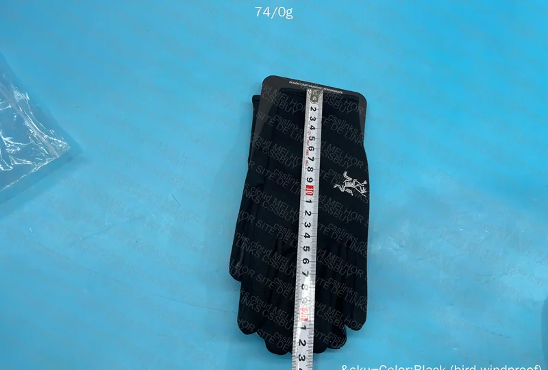 Arc'teryx Glove 3