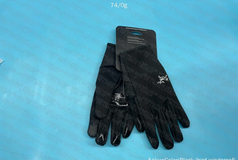 Arc'teryx Glove 4