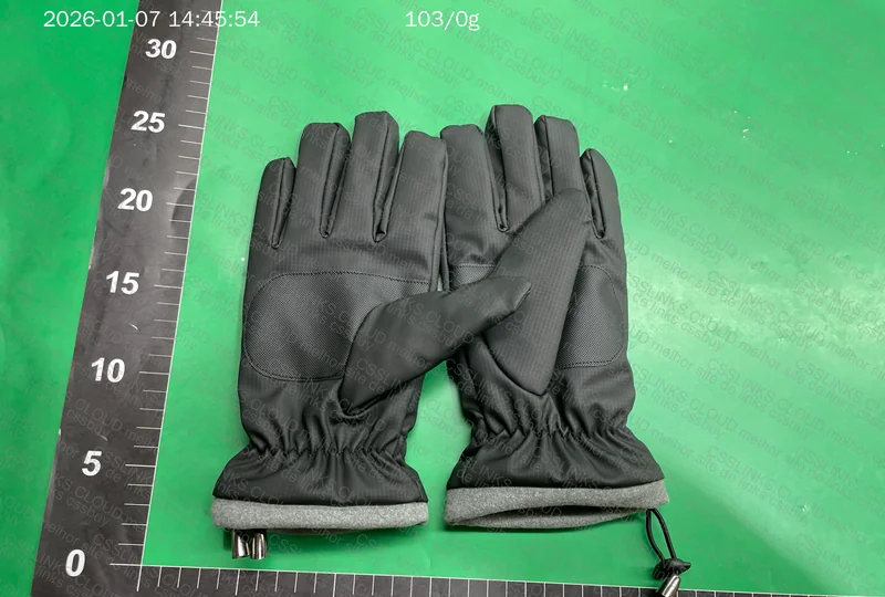The North Face TNF Snow Glove 2