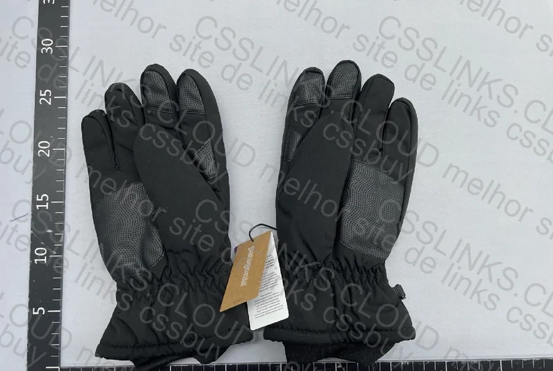 Patagonia Snow/Ski Glove 2