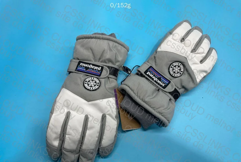 Patagonia Glove 2