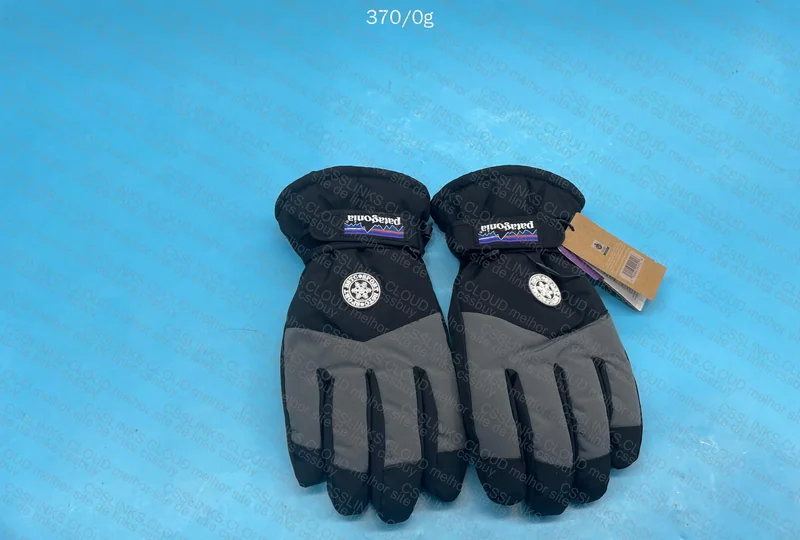 Patagonia Waterproof Snow Glove 3