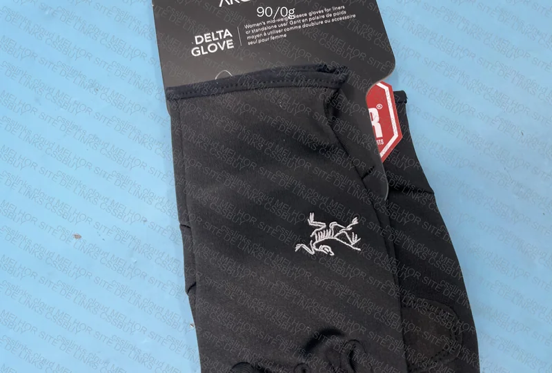 Arc'teryx Gloves 2