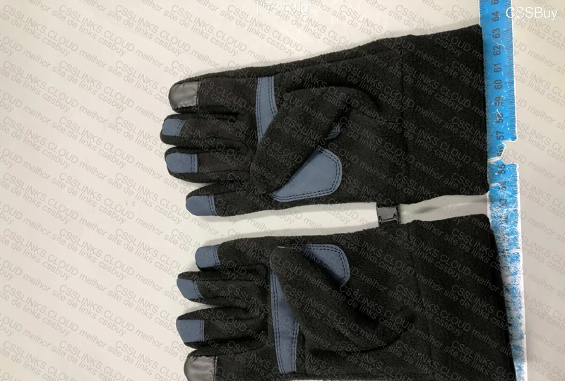 The North Face Gloves 2