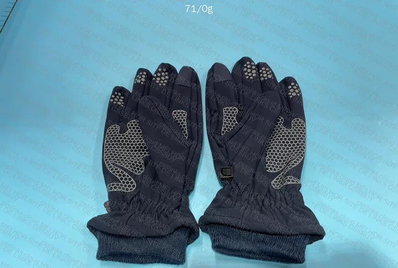 The North Face Gloves