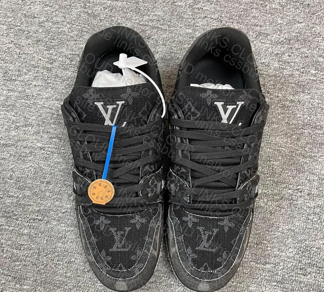 LV of the Egg