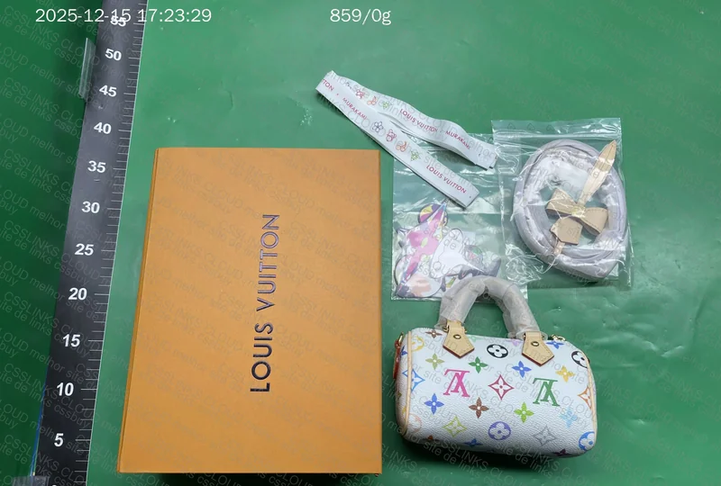 LV Nano Speedy Takashi Murakami