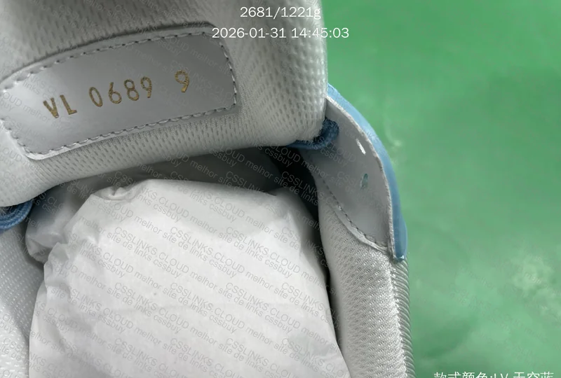 Lv Trainer Azul 6