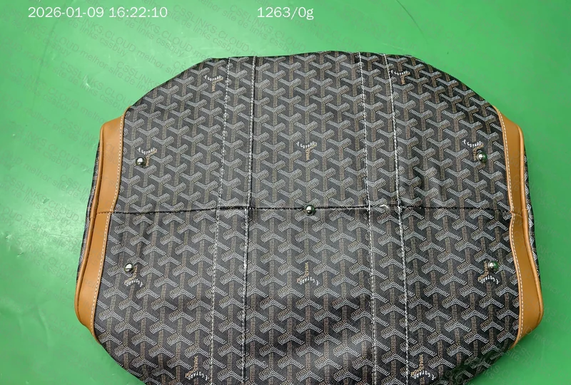 Mala de viagem Goyard 5