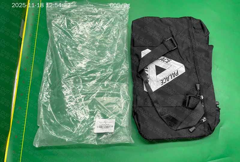 Palace Travel/Gym Bag - Baymaxx 3