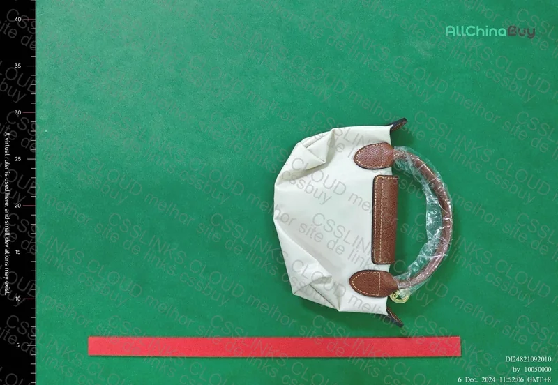 Longchamp Mini Bag 2