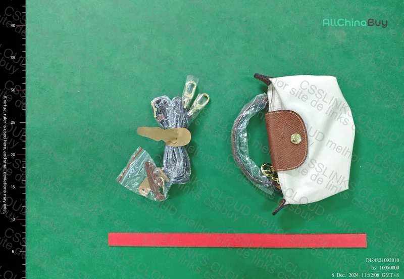 Longchamp Mini Bag 3