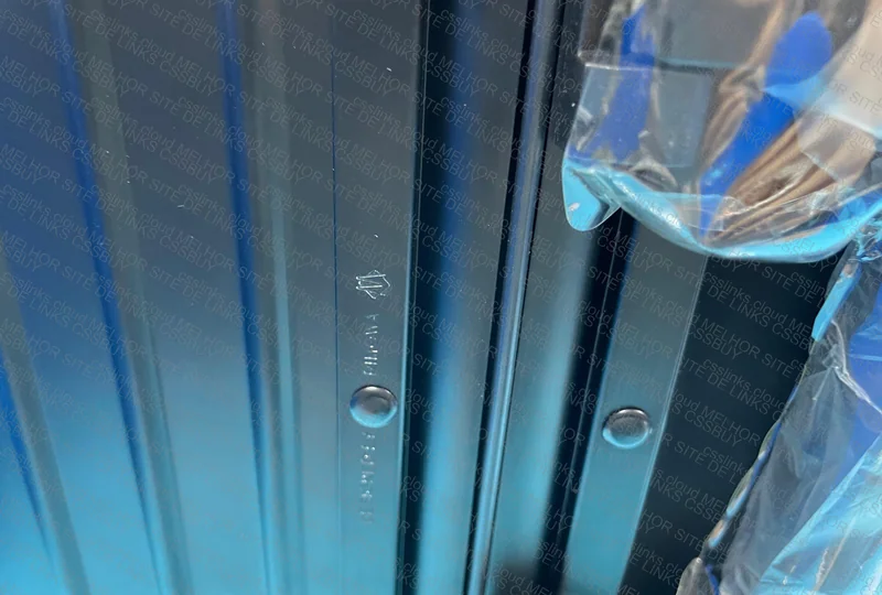 Rimowa Original Version Luggage 4