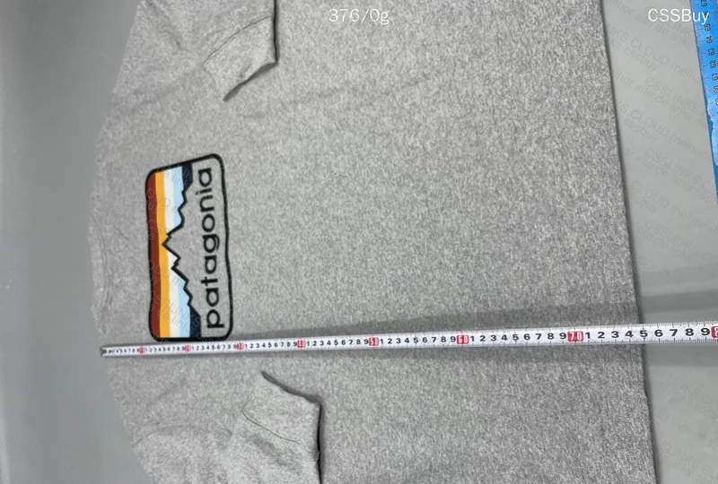 Patagonia Long Sleeve (Vintage Logo with Measurements) 3