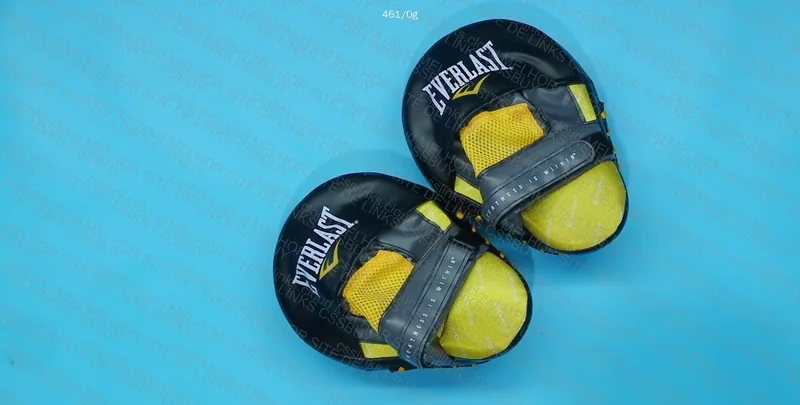 Everlast Boxing Glove