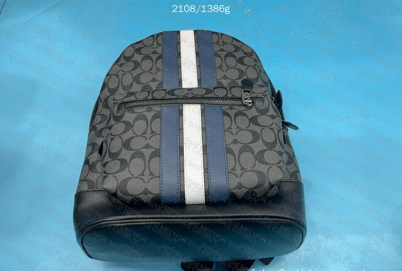 COACH Backpack 2