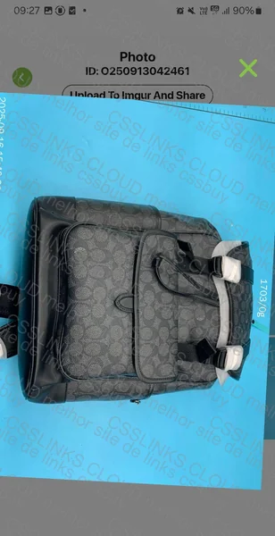Coach Backpack 2