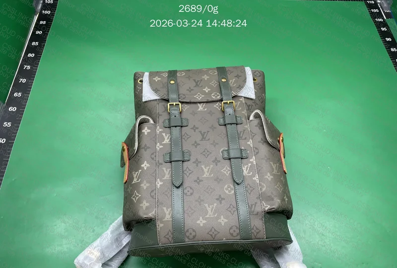 Mochila costas Louis VUITTON Mochila Christopher MM 2