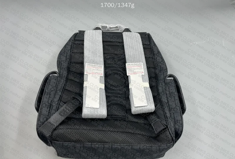Dior Backpack 2