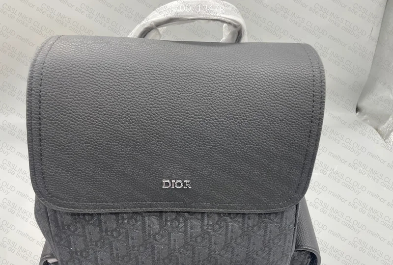 Dior Backpack 4