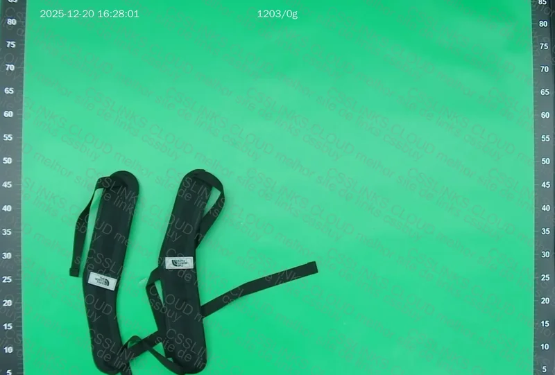 The North Face Duffel Backpack 3