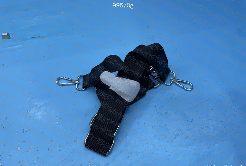 Goyard Backpack (Likely RL) 4